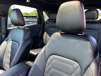 2023 Ford Escape ST-Line Elite